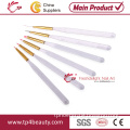 6 Piece Fashion Nail Art Brush Set Manicure Brush Set (TP-AH40)